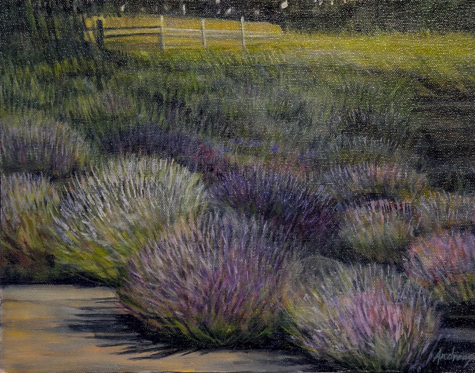 Wayward Winds