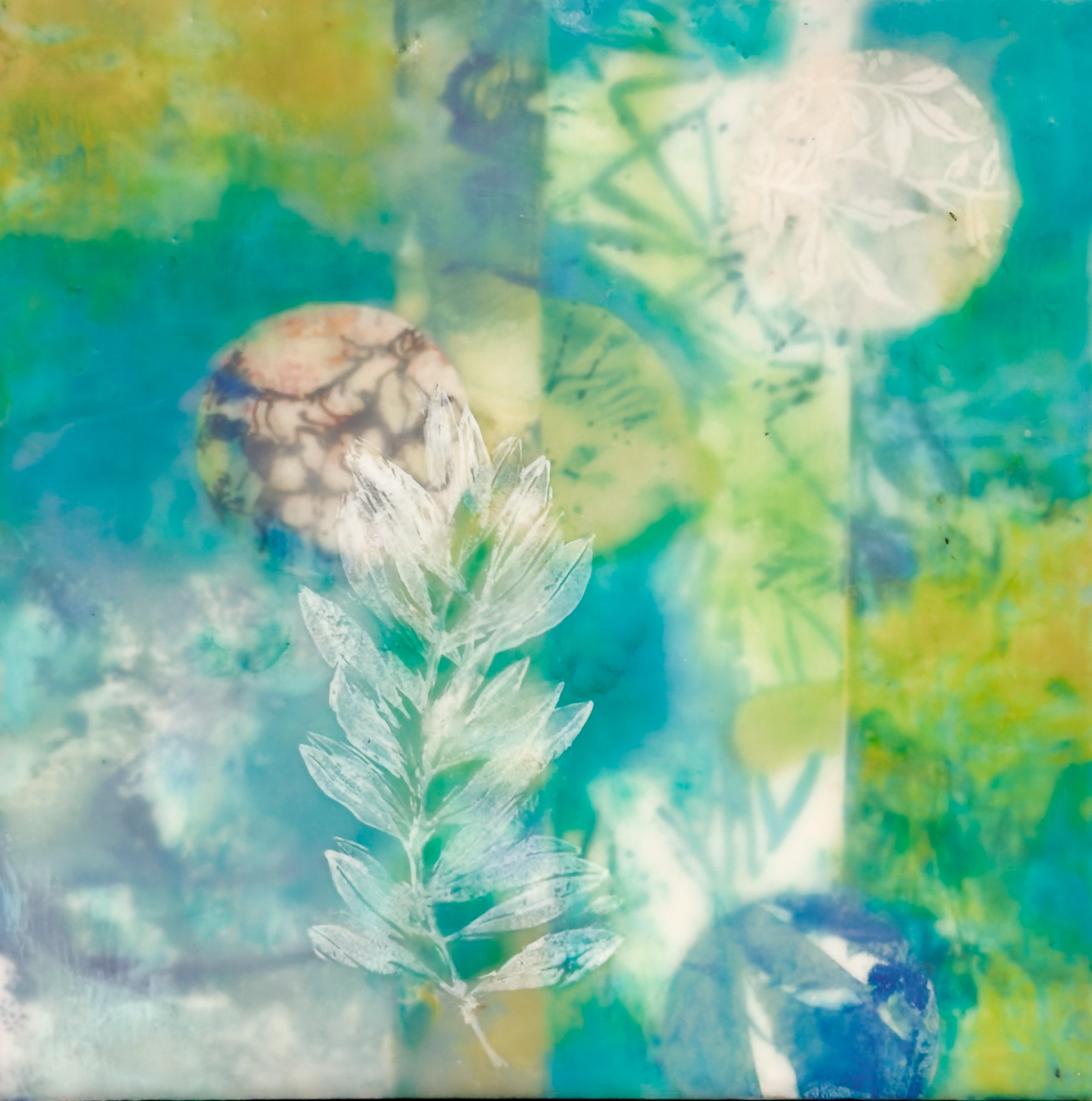 Aqua Dreams