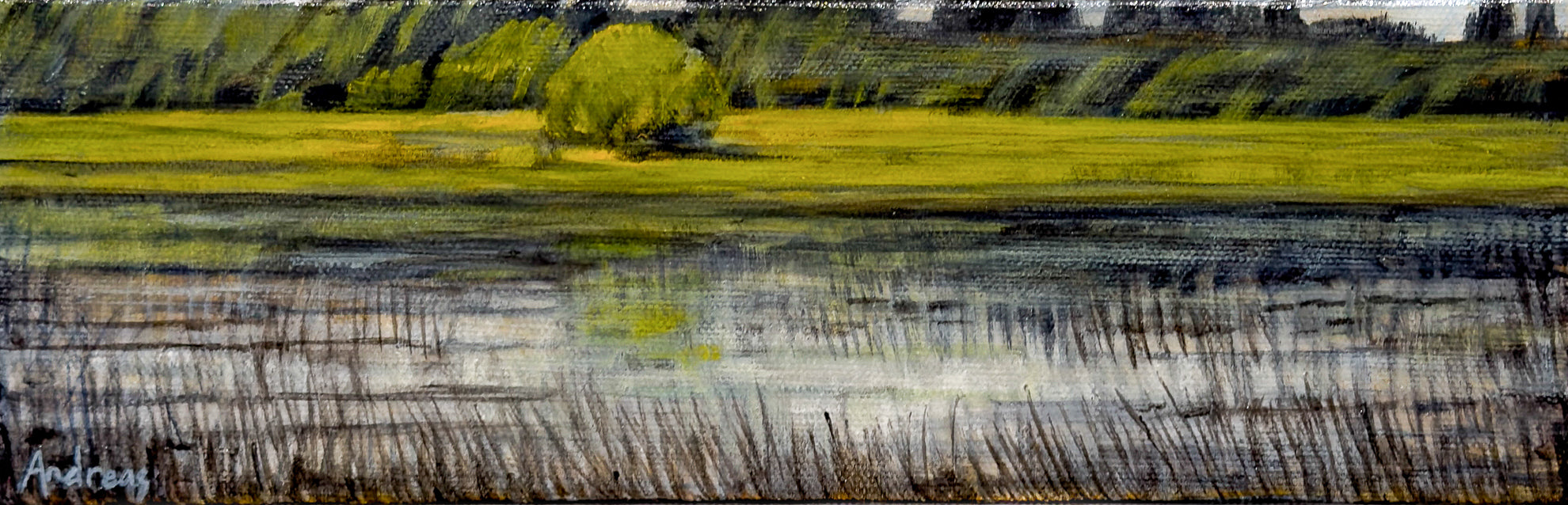 Peaceful Pond