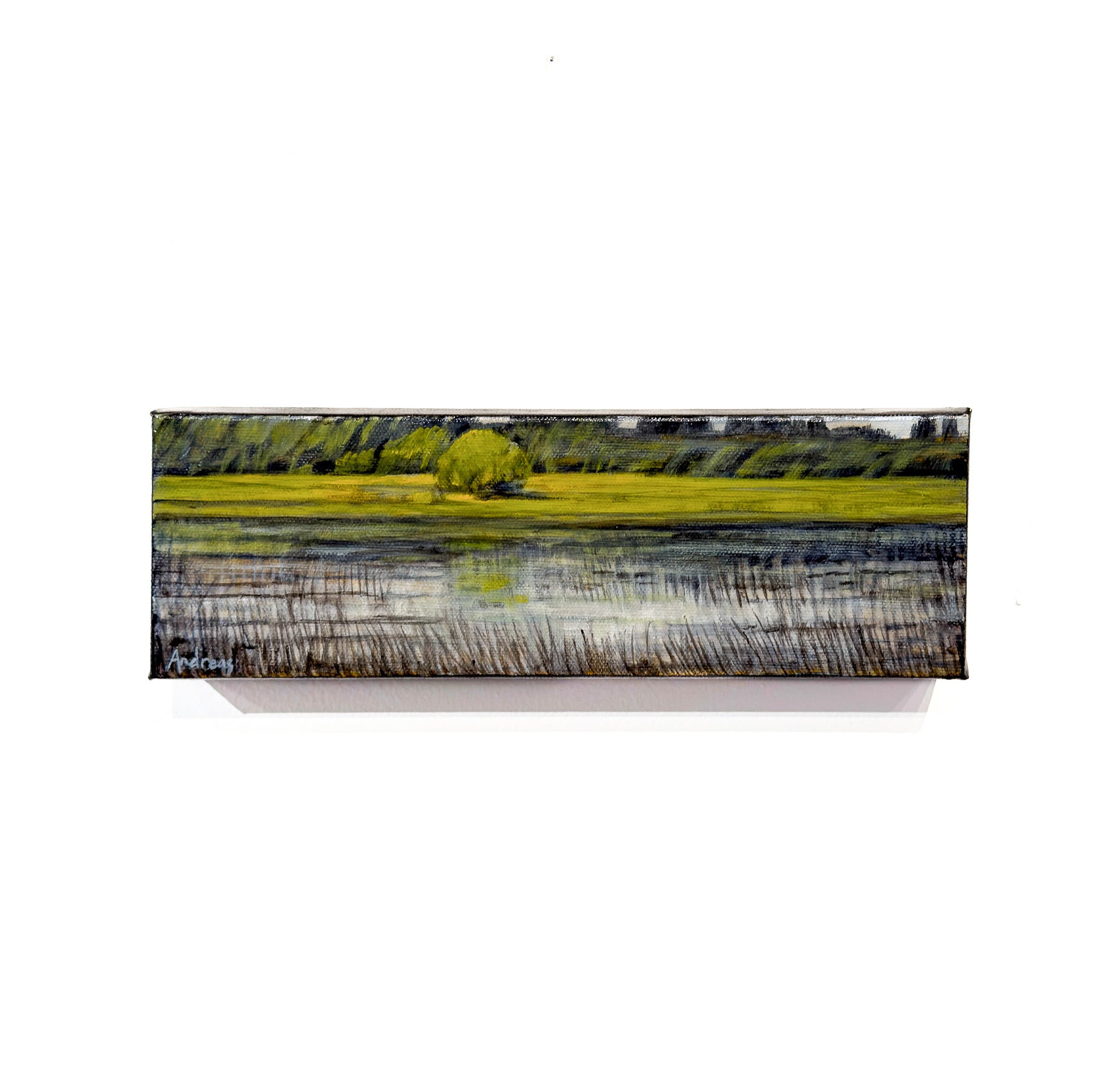 Peaceful Pond