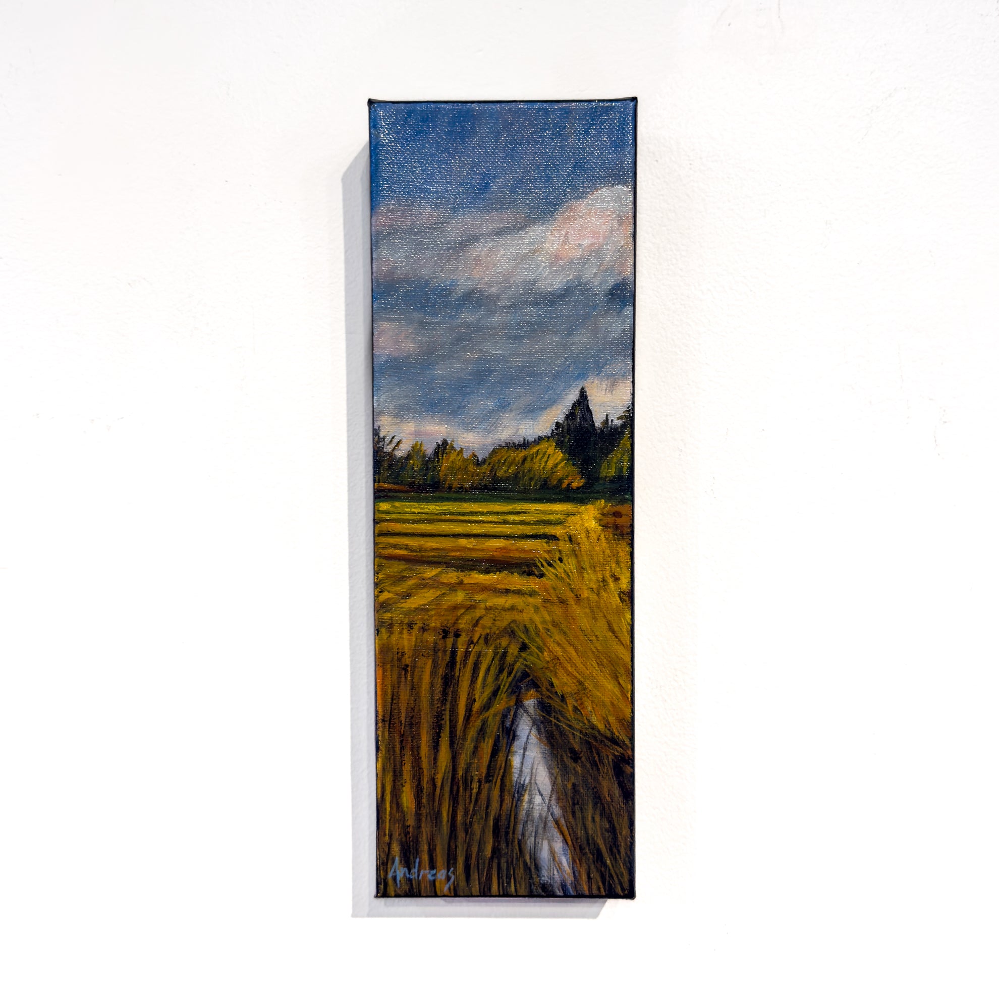 Dreamy Field