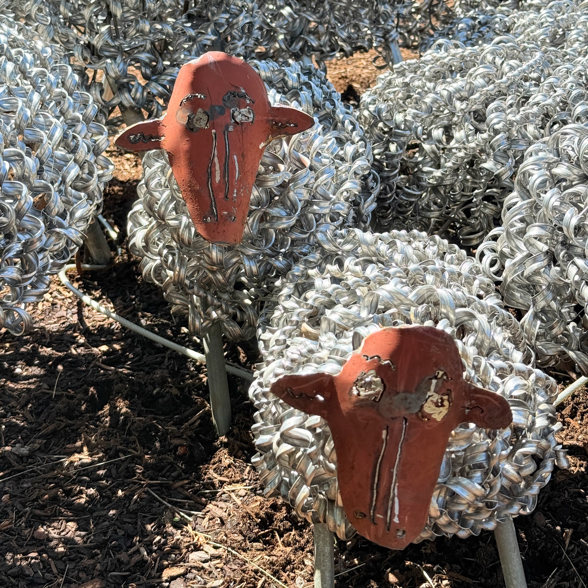 Spring Sheep