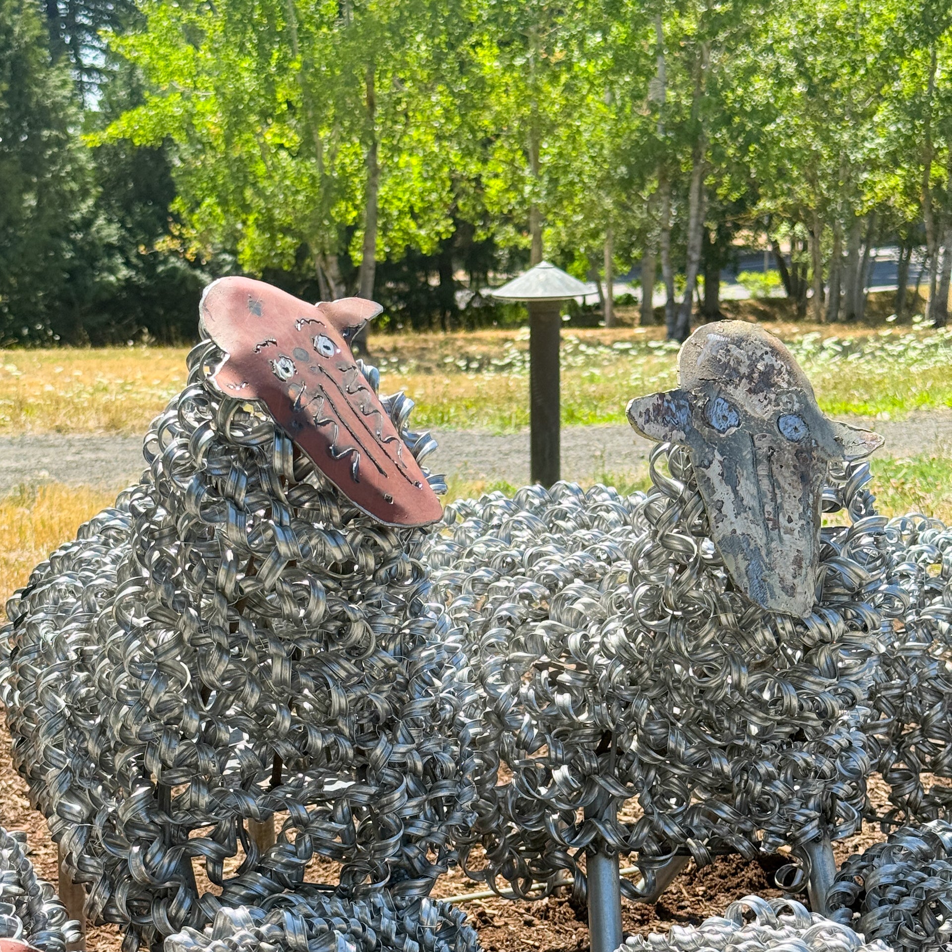 Spring Sheep