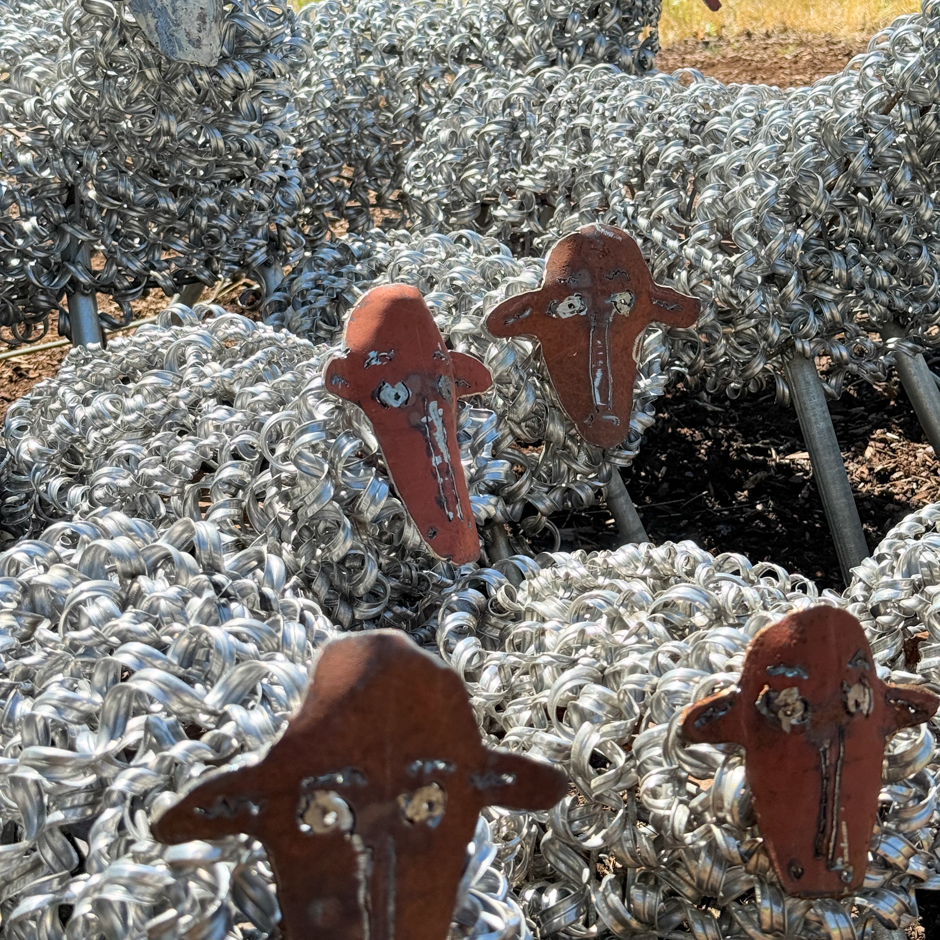 Spring Sheep