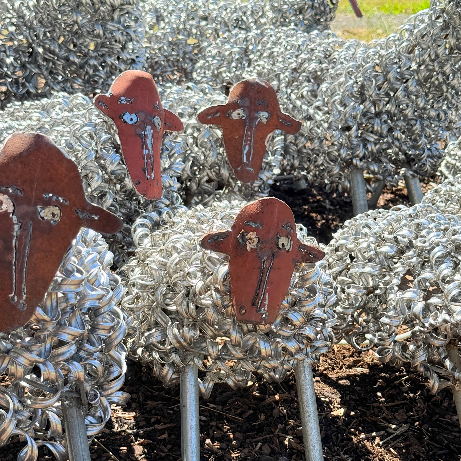 Spring Sheep