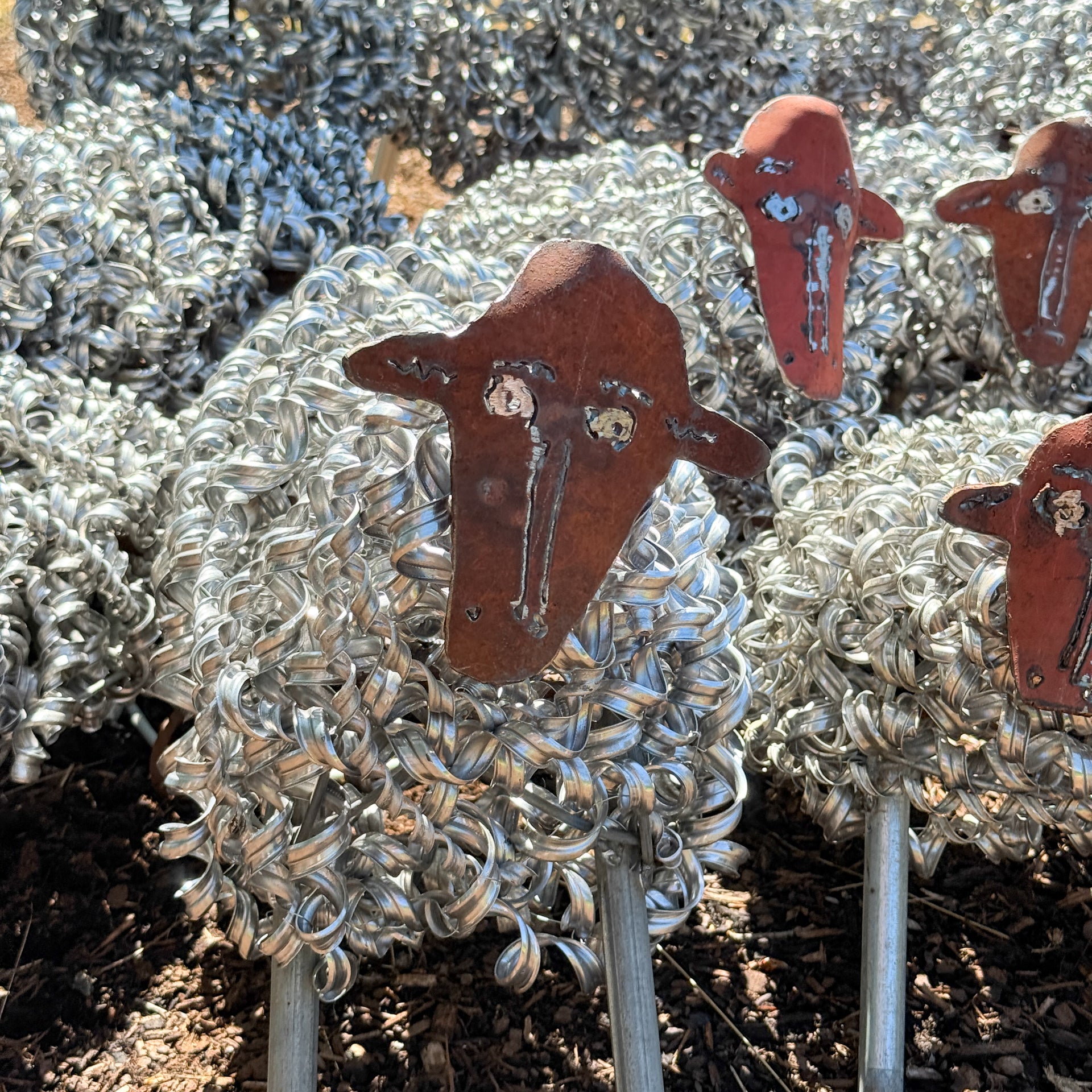Spring Sheep