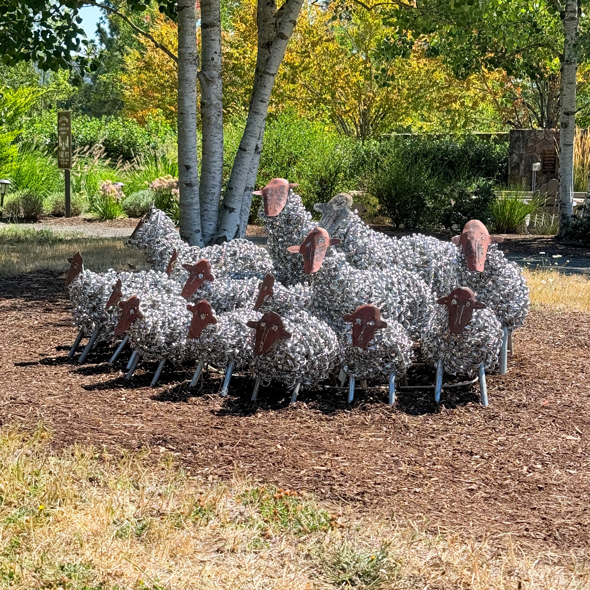 Spring Sheep