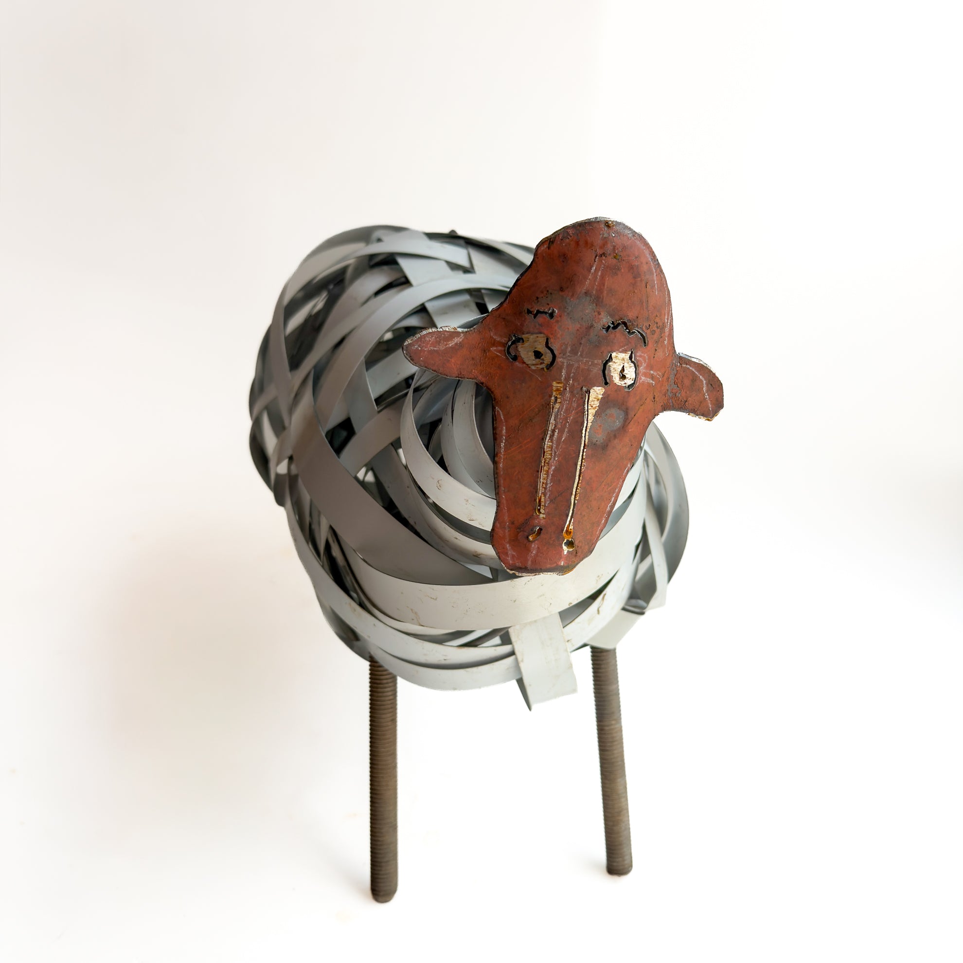 427 Medium White Strapping Sheep