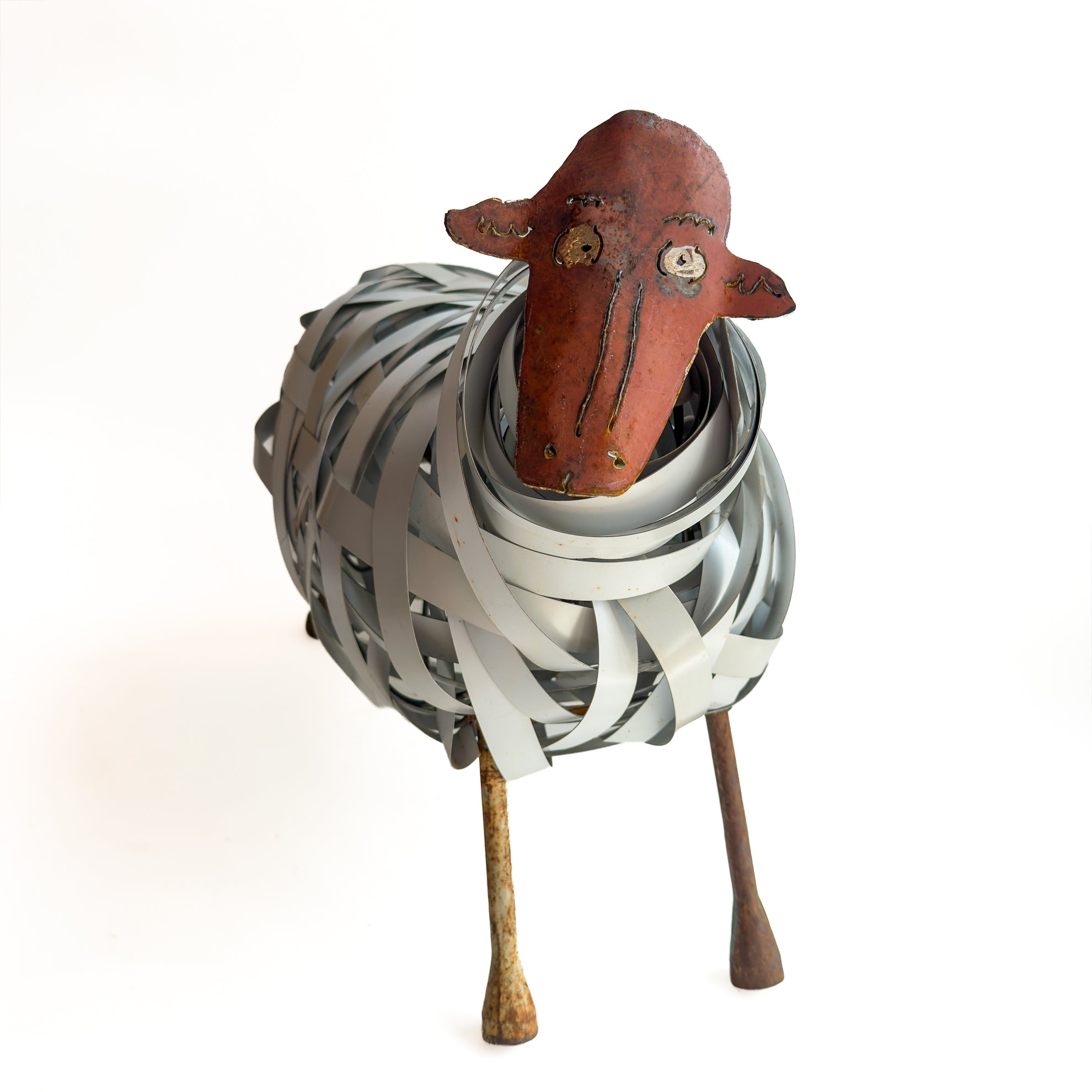 429 Large White Strapping Sheep