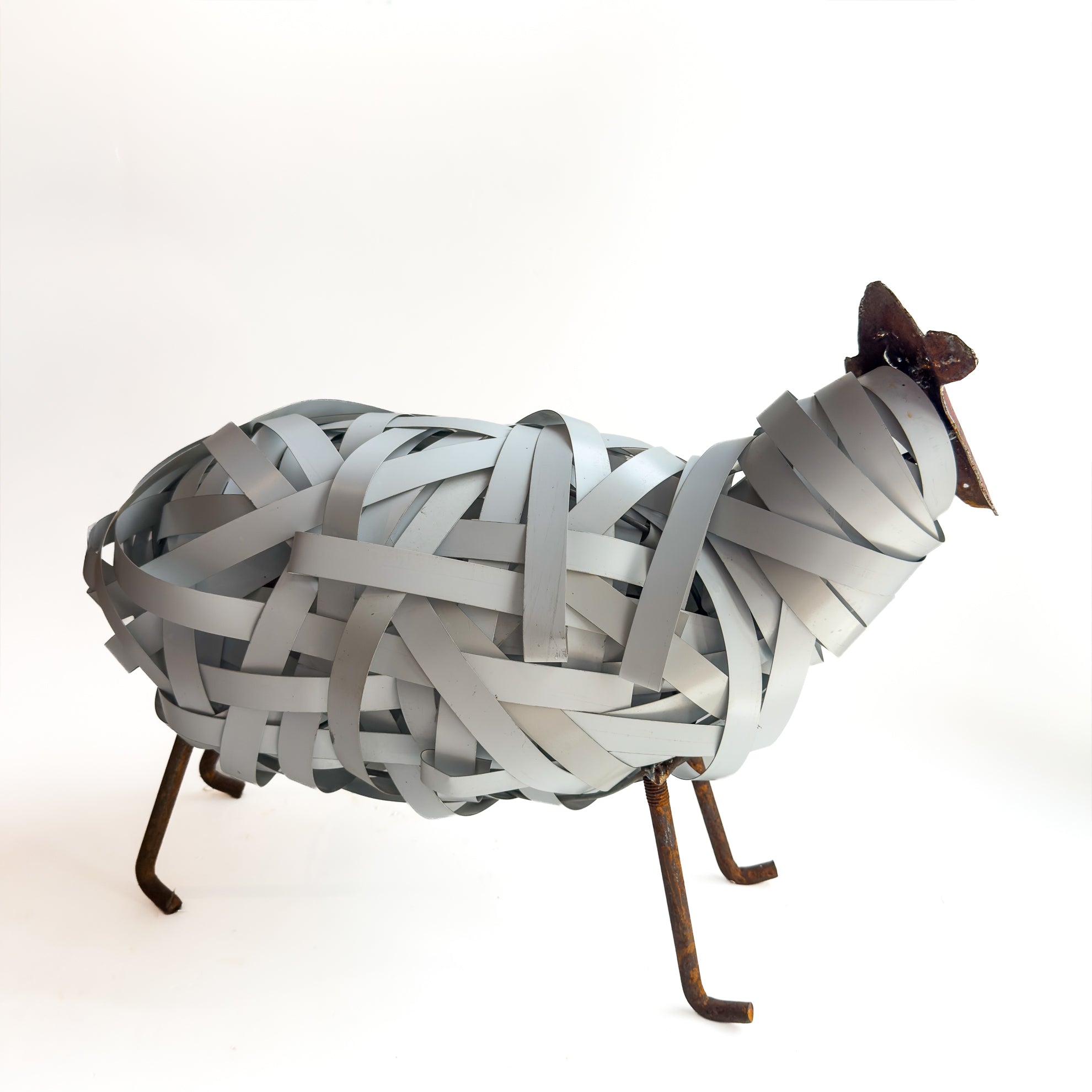 430 Large White Strapping Sheep