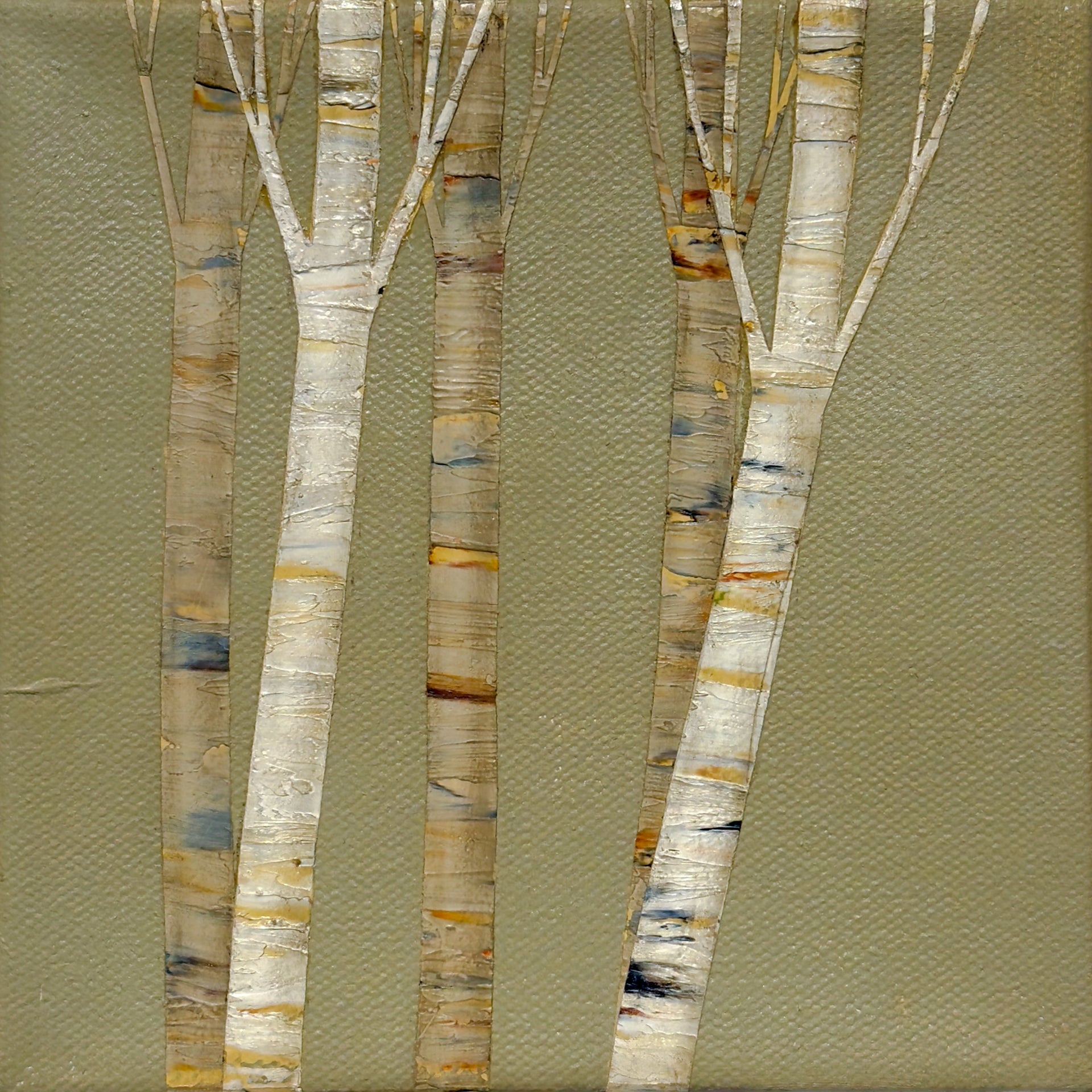 Fall Birches