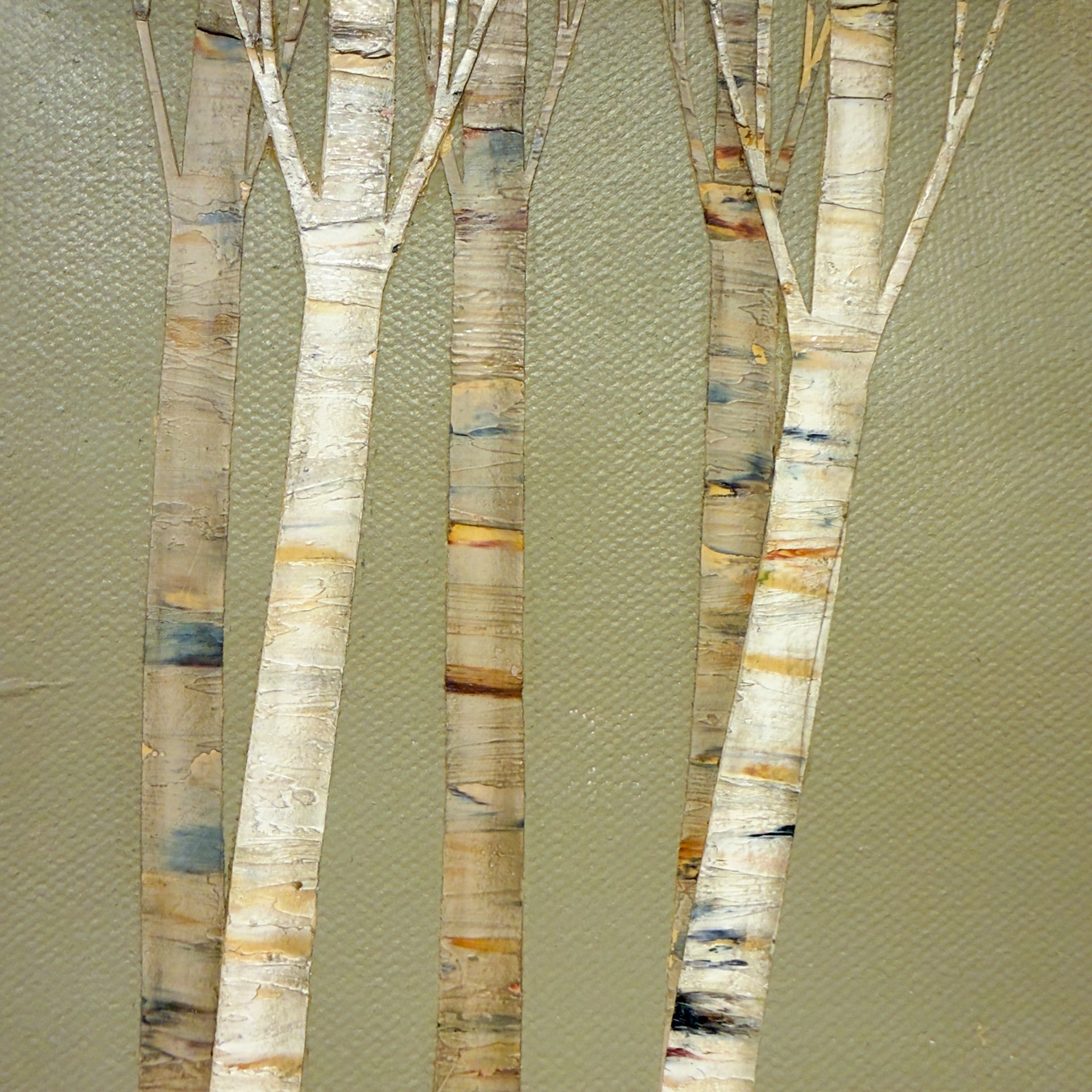 Fall Birches