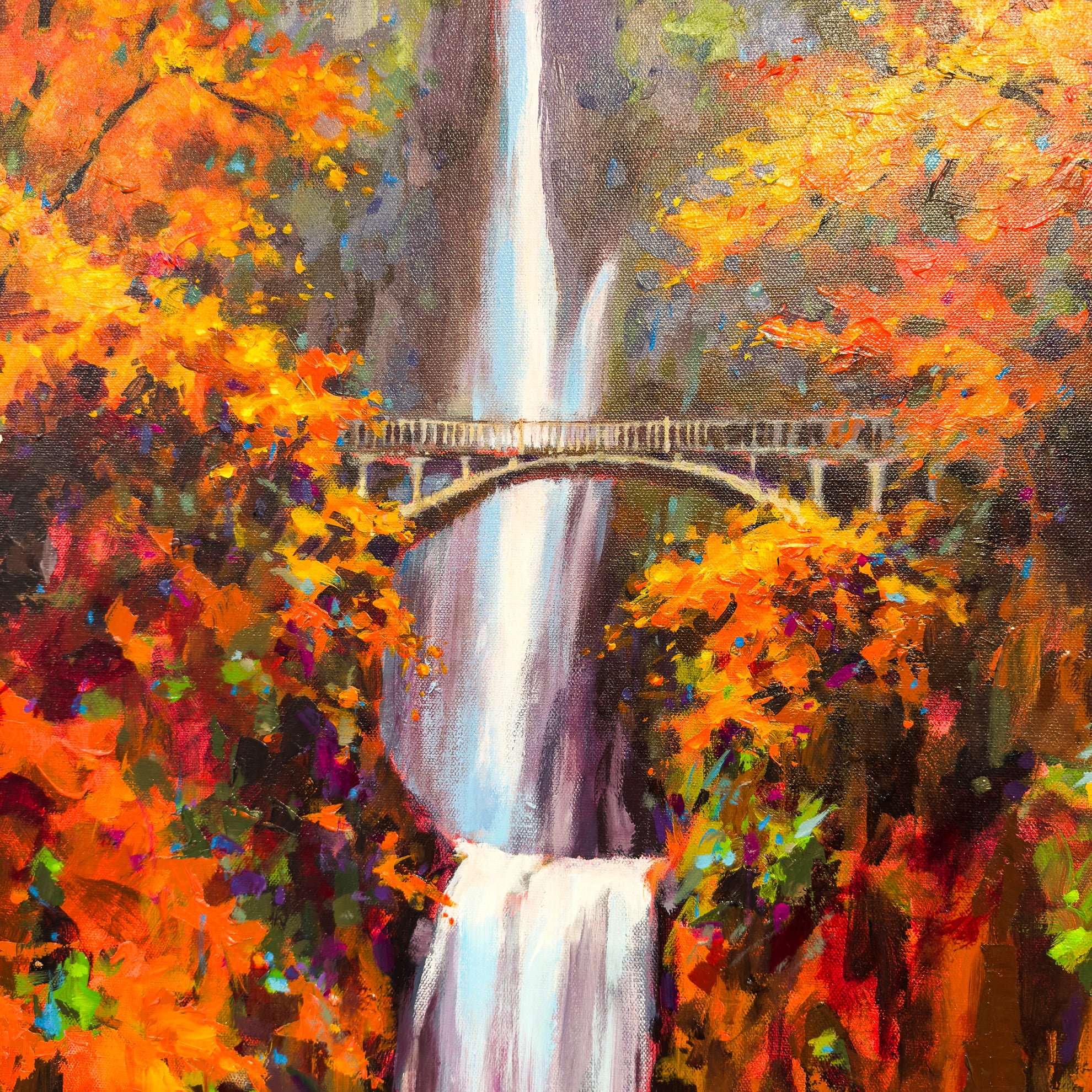 Multnomah Dressed in Orange