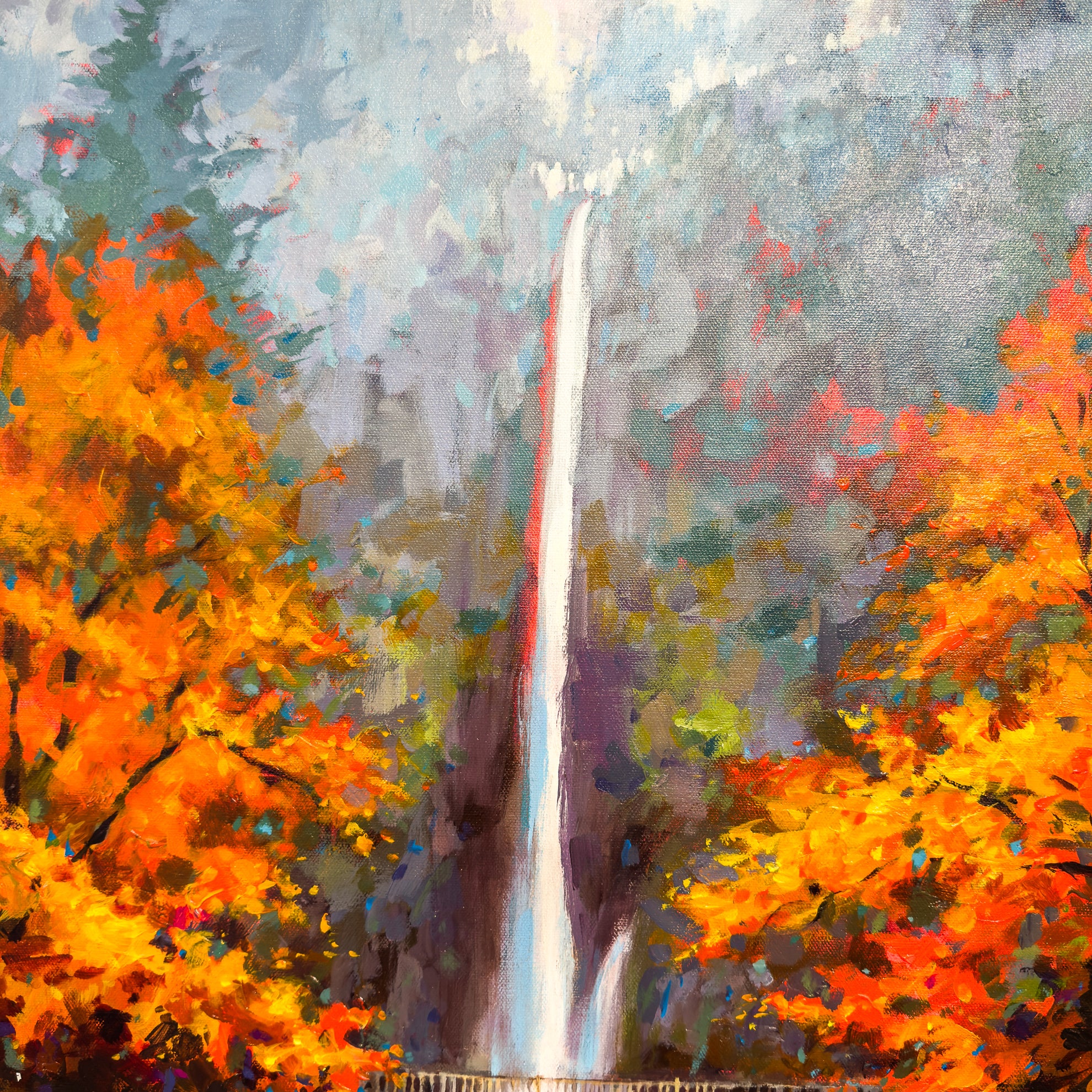 Multnomah Dressed in Orange