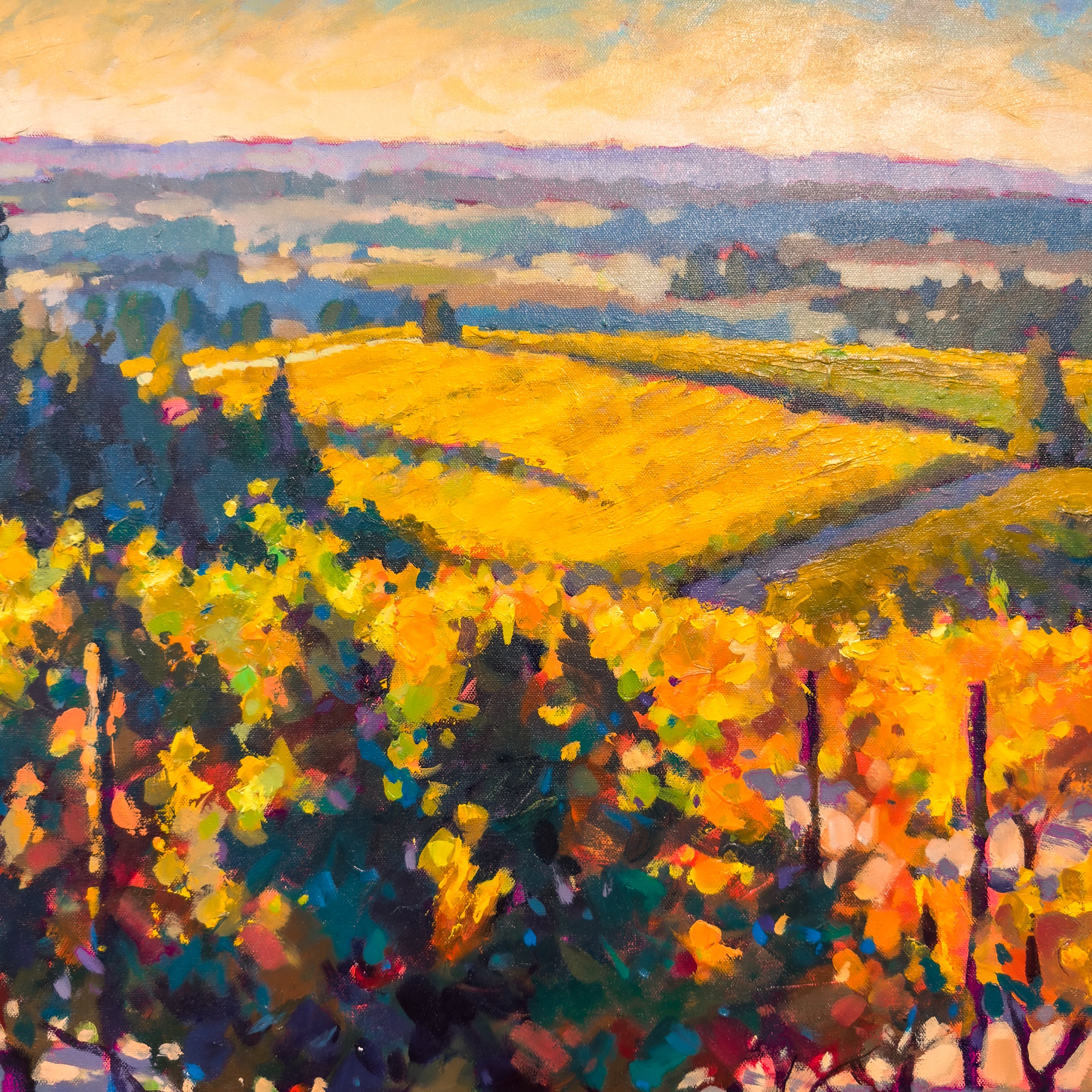 Newberg Vines
