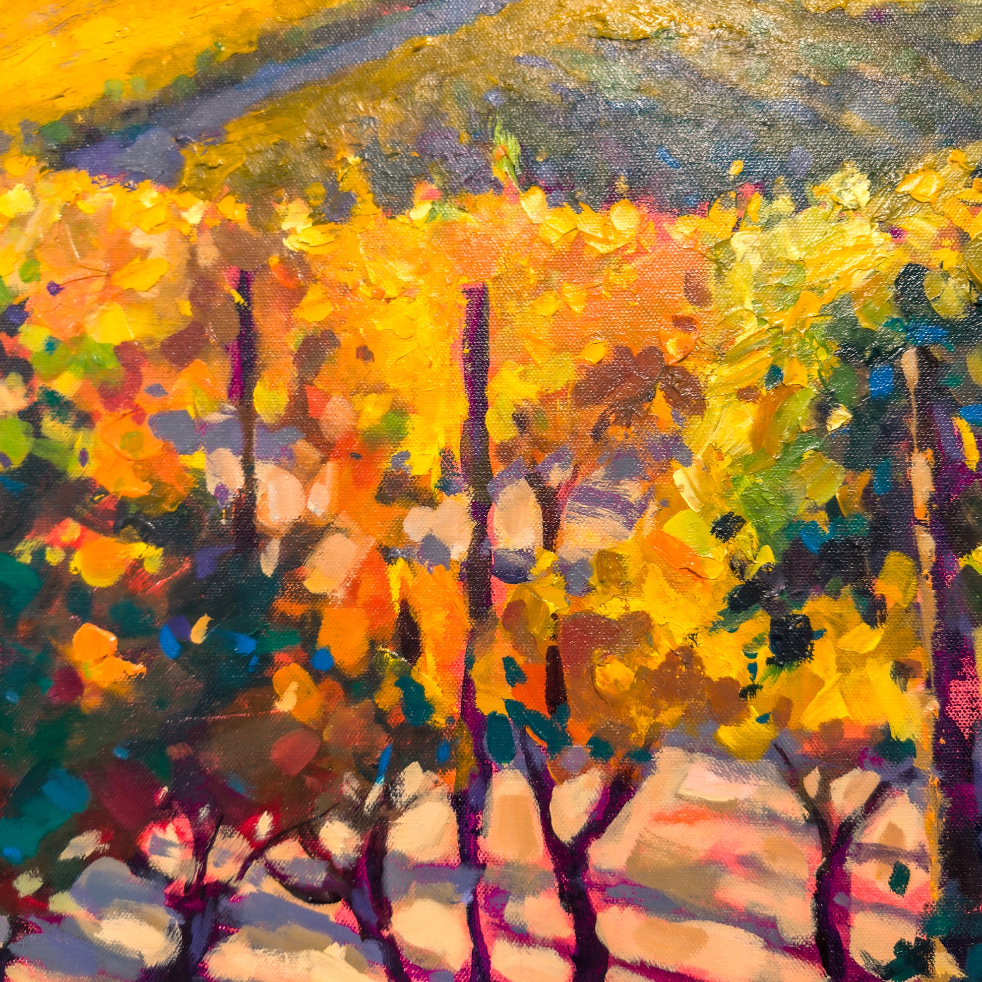 Newberg Vines