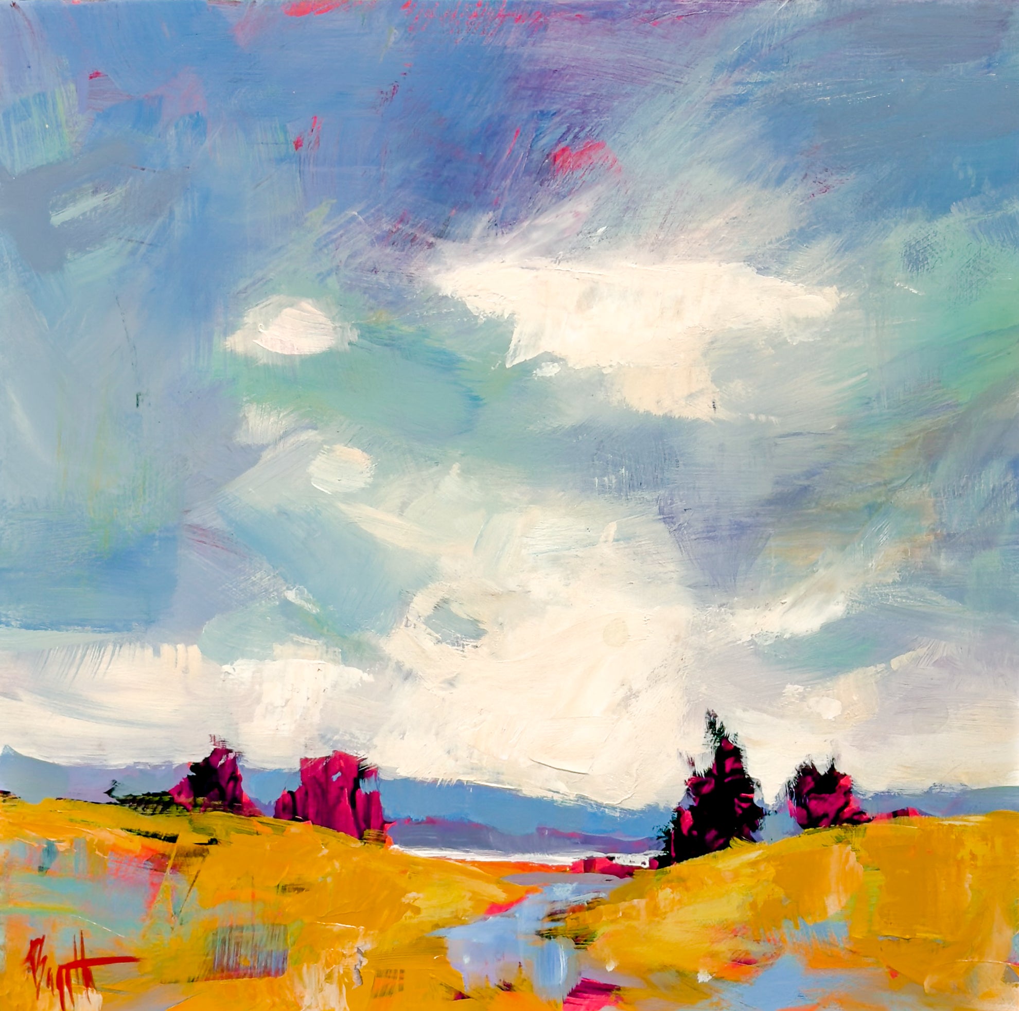 Sunlit Meadow
