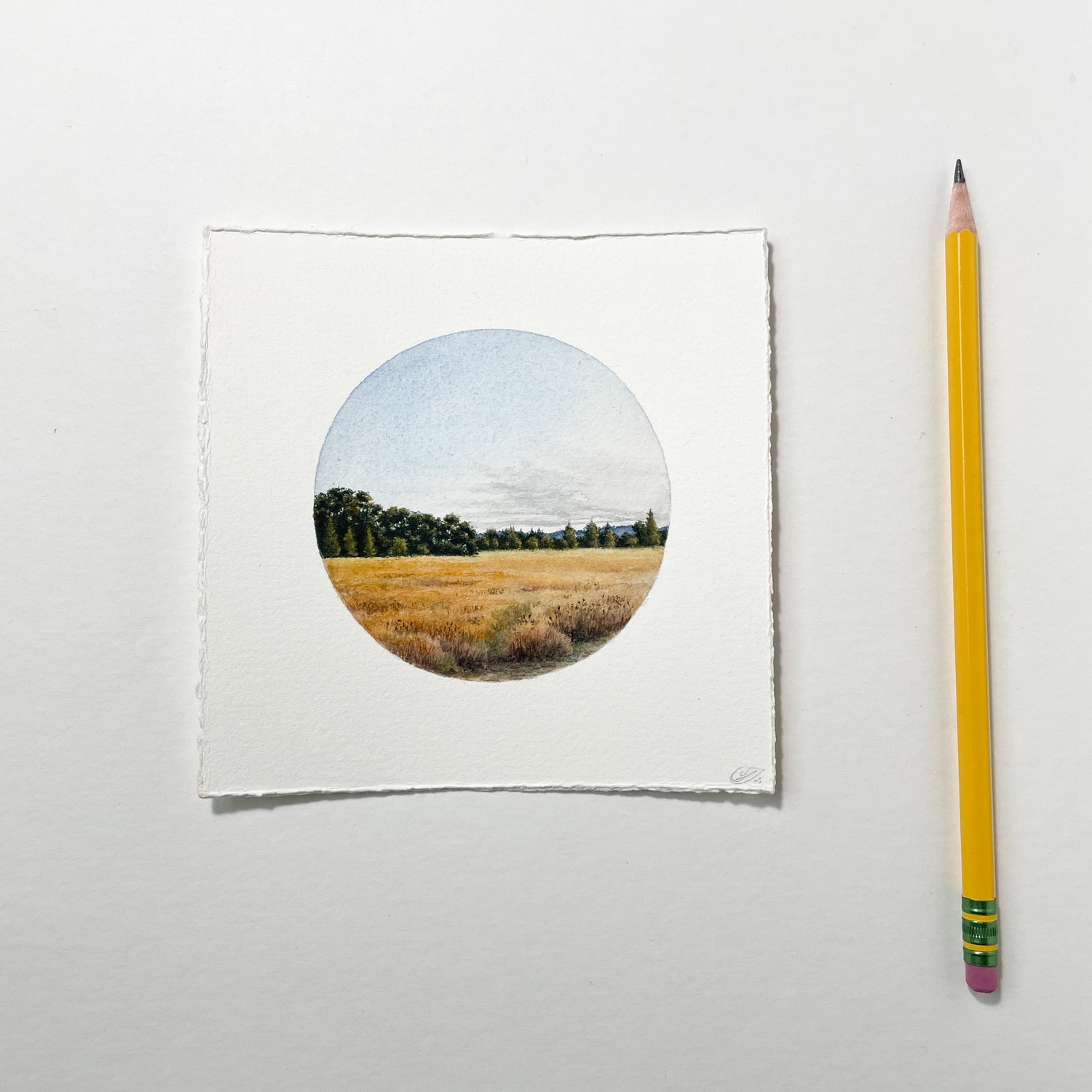 Tiny Paintings