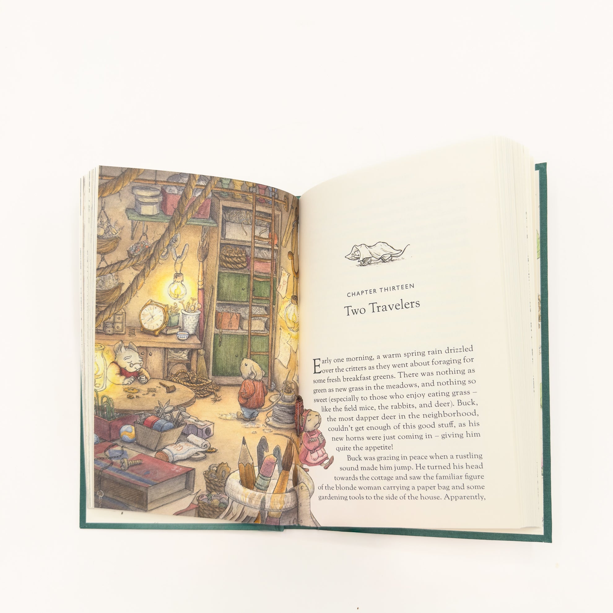 A Critter's Tale - Children's Novel