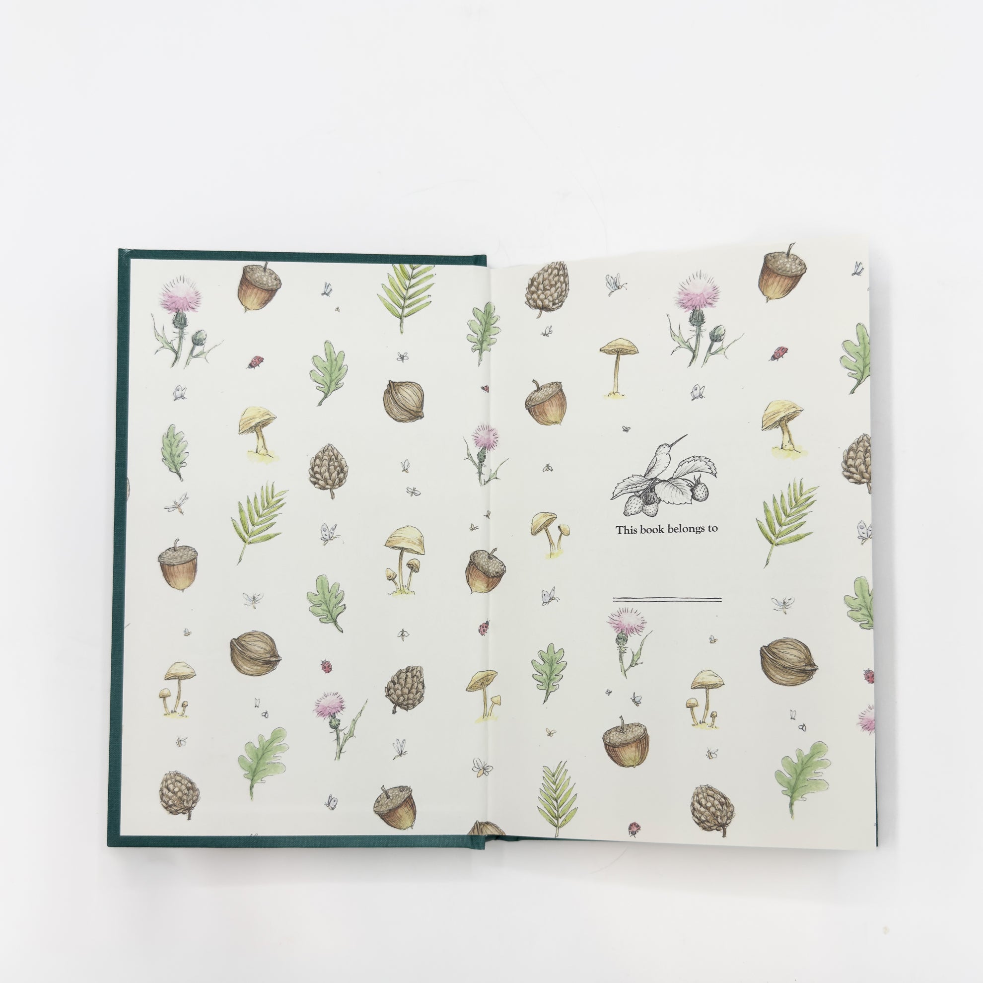 A Critter's Tale, Pre-Purchase