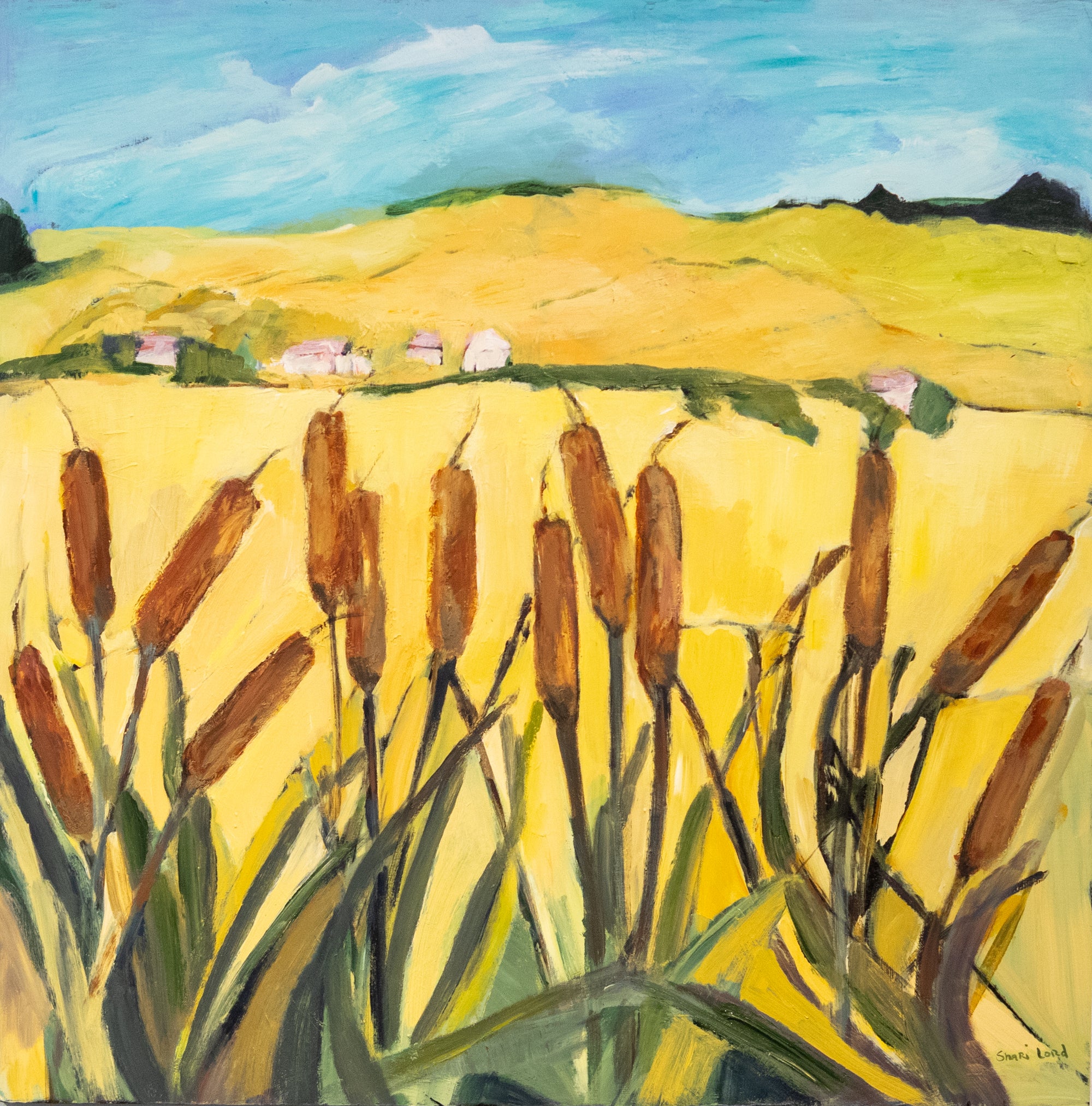 Cattail Walk
