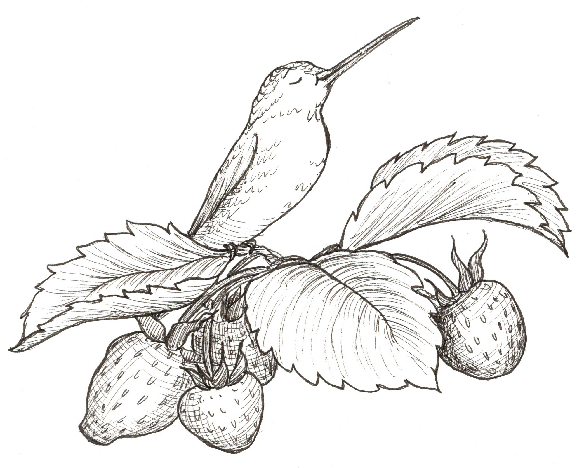 "A Critter's Tale" Event Ticket