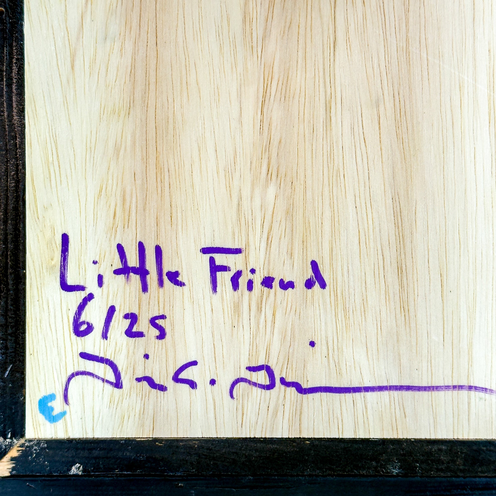 Little Friend