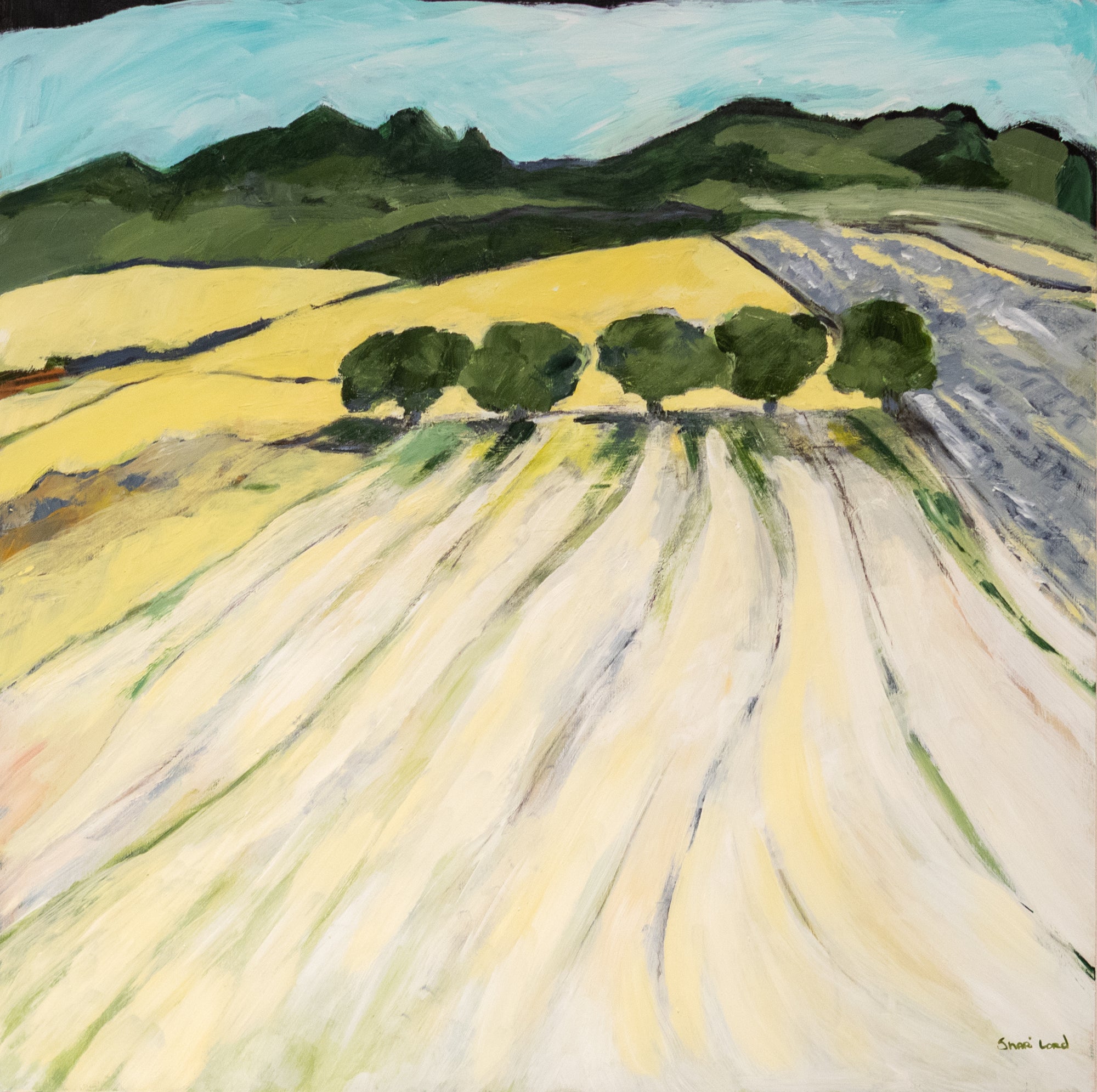 Meadow Foam Stayton Highway