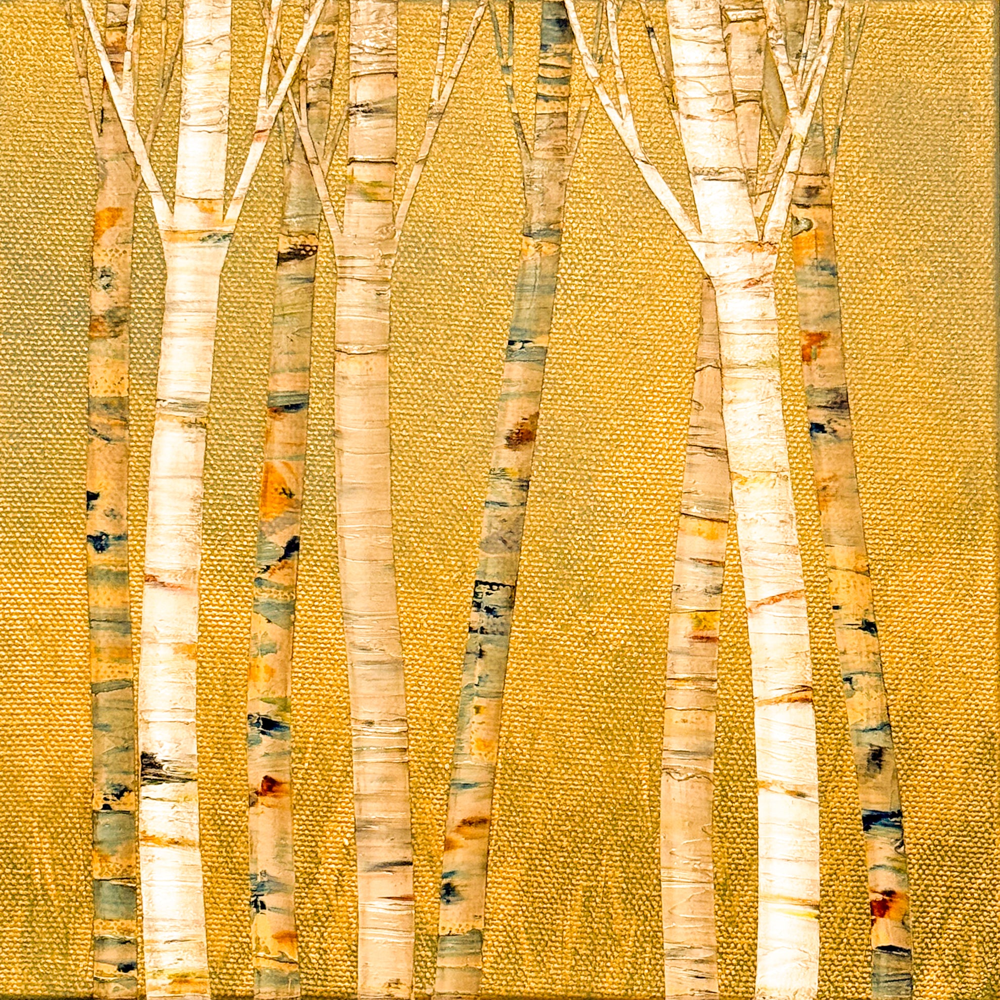 Shimmering Canopy