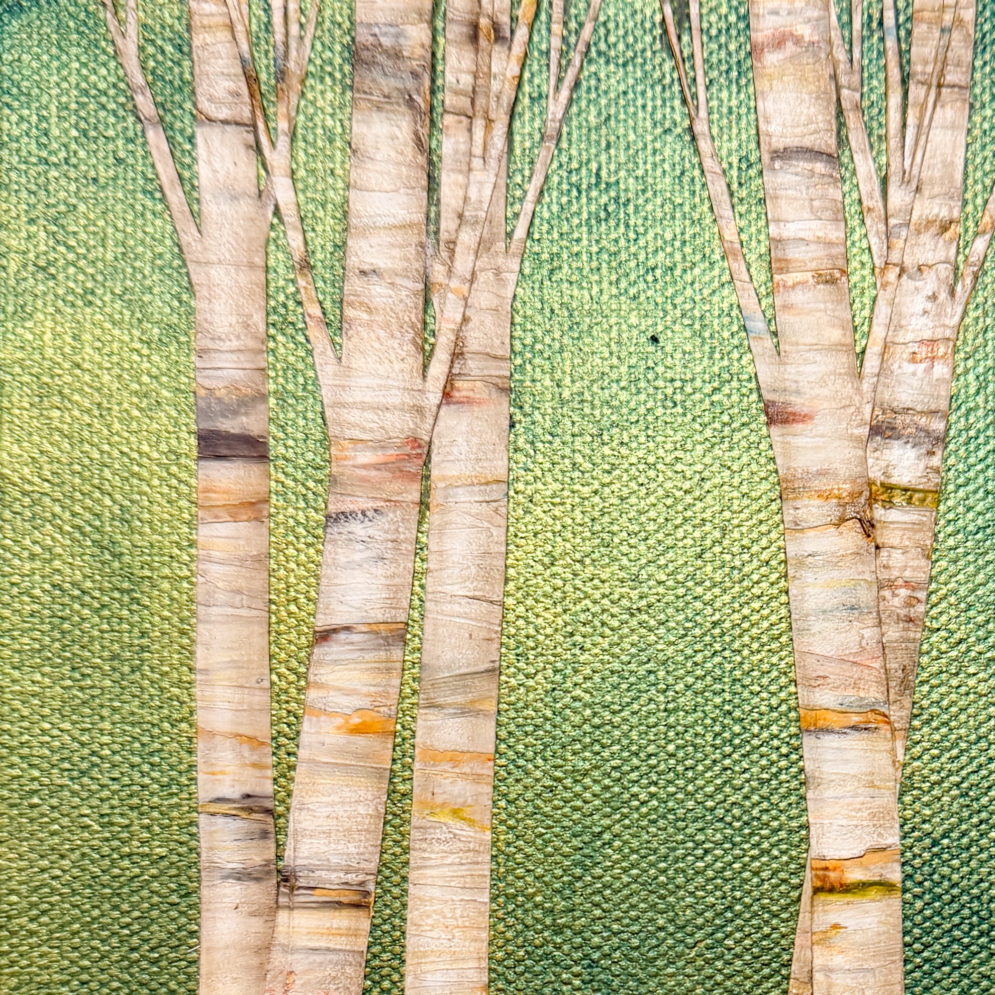 Summer Shade I