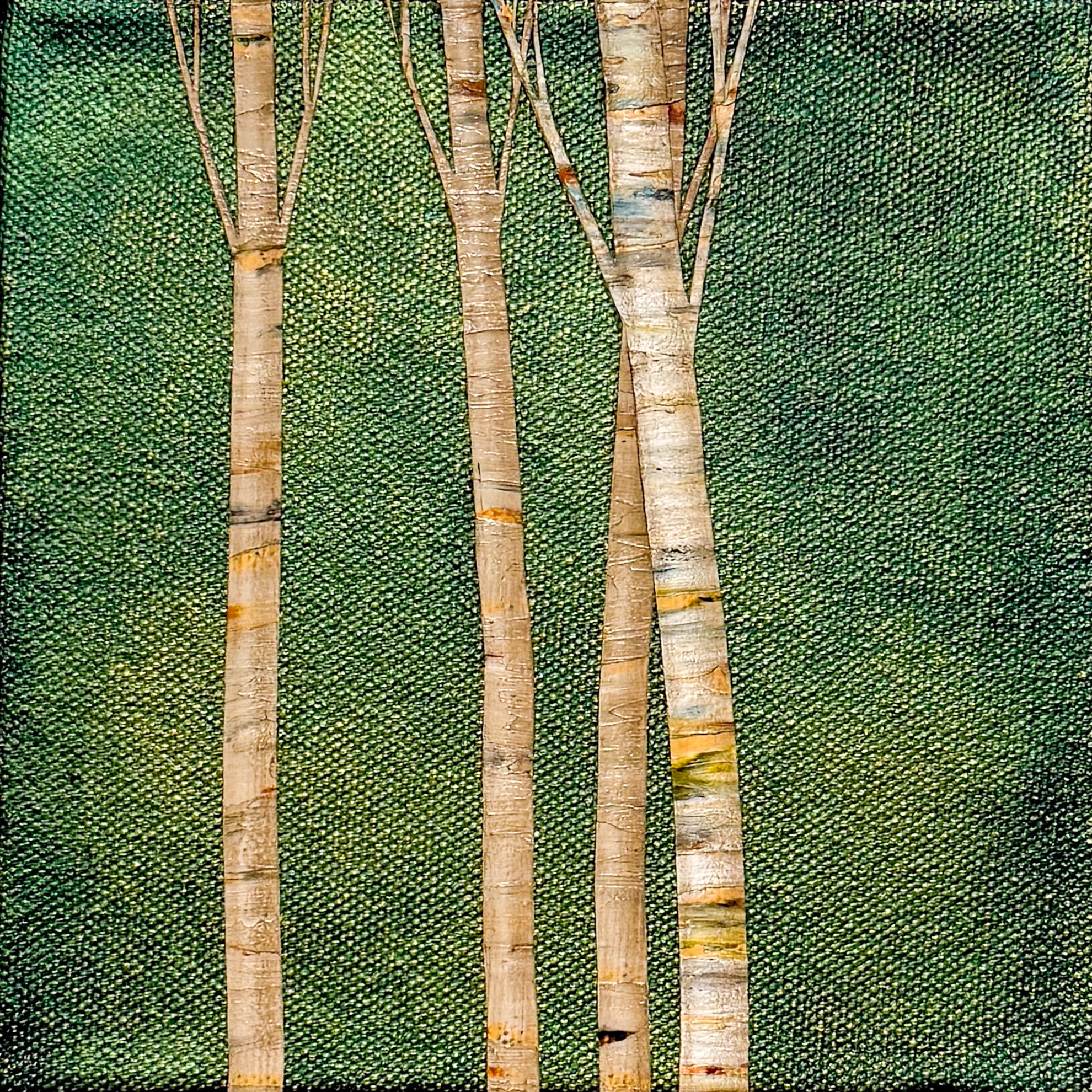 Summer Shade II