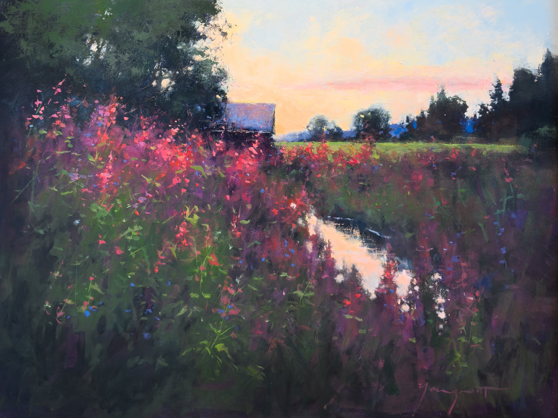 Summer's Evening Glow